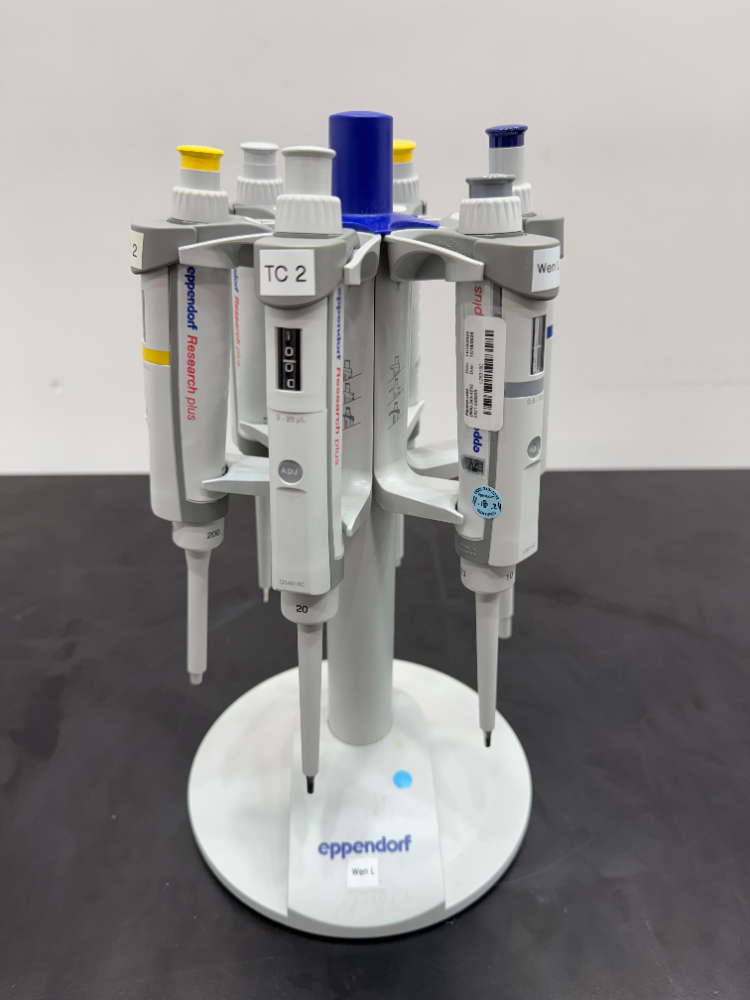Image of Eppendorf Single Chanel Pipets; Quantity: 6